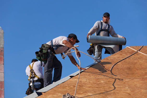 Best Metal Roofing Contractor  in Continental, OH