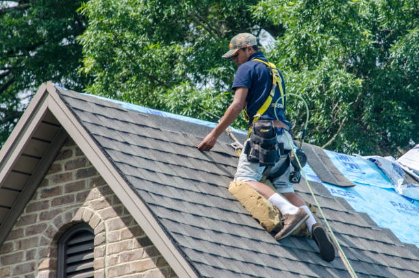 Best Roof Gutter Cleaning  in Continental, OH